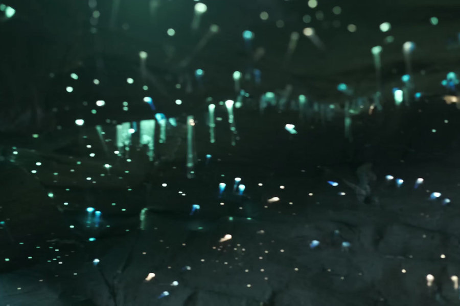 A night forest with drifting light — after compositing and grading