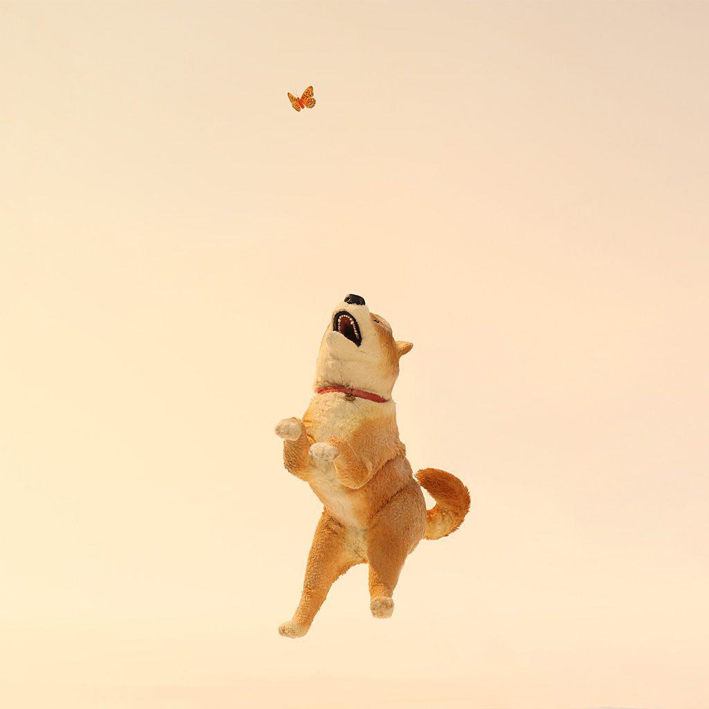 짱뚱이네 똥황토 — 2